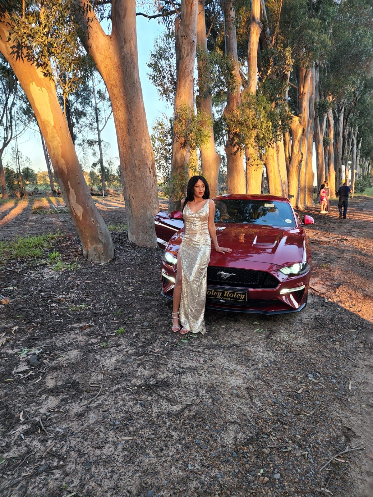 Ford Mustang 5.0 Red  — errol 2.jpg