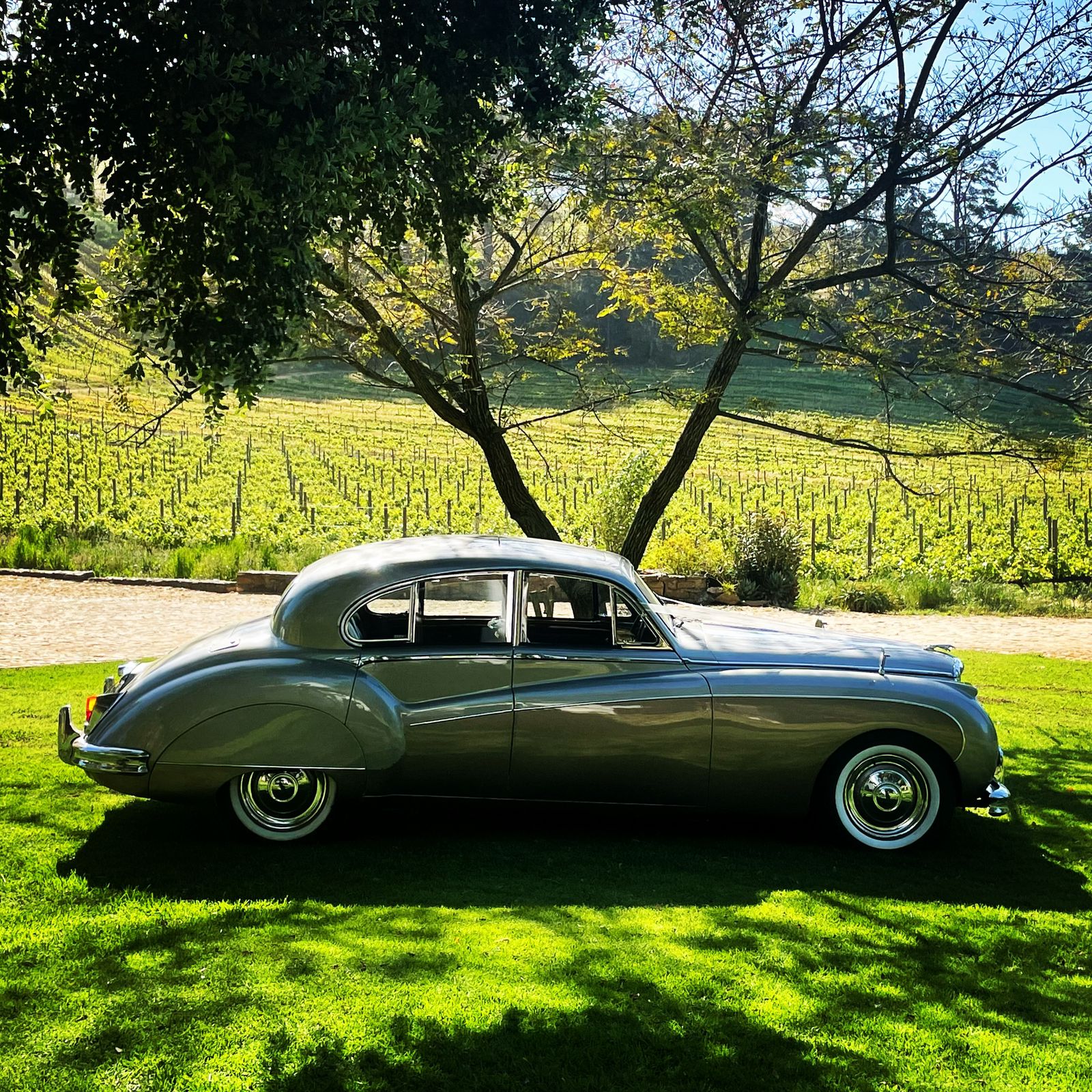 1959 Jaguar Mk.9 — leal mk9 2.jpeg