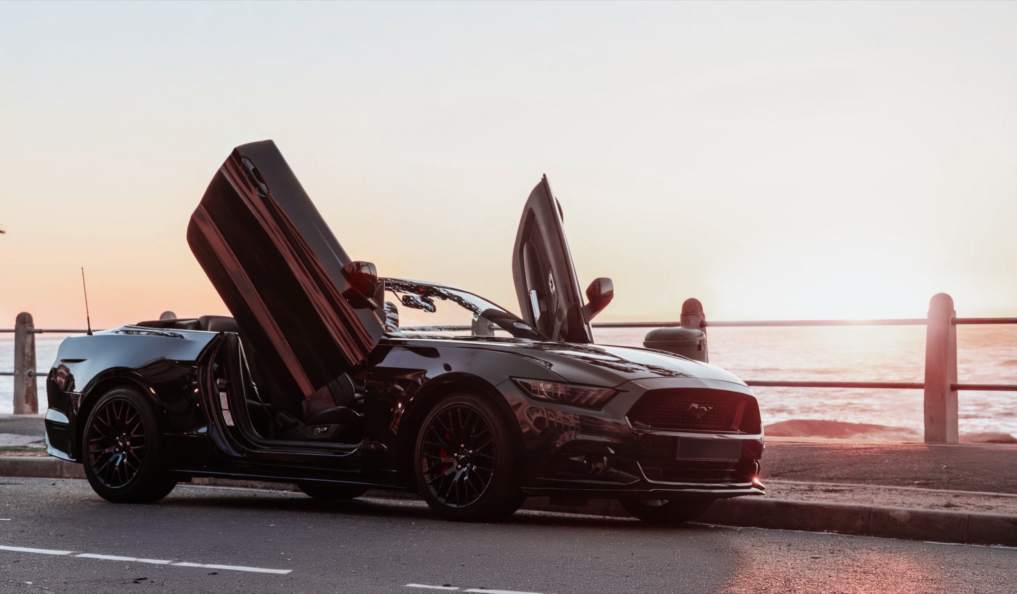 2016 Ford Mustang 5.0 GT Convertible — MUSTANG SAUNDERS.jpg