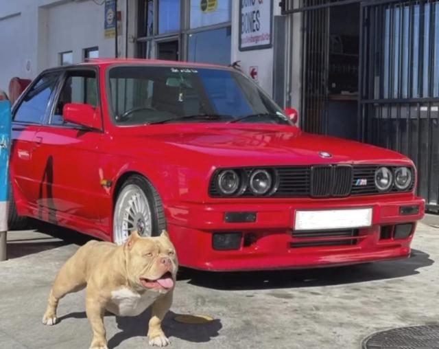 BMW E30 1981 Red — JAWAAD.jpg
