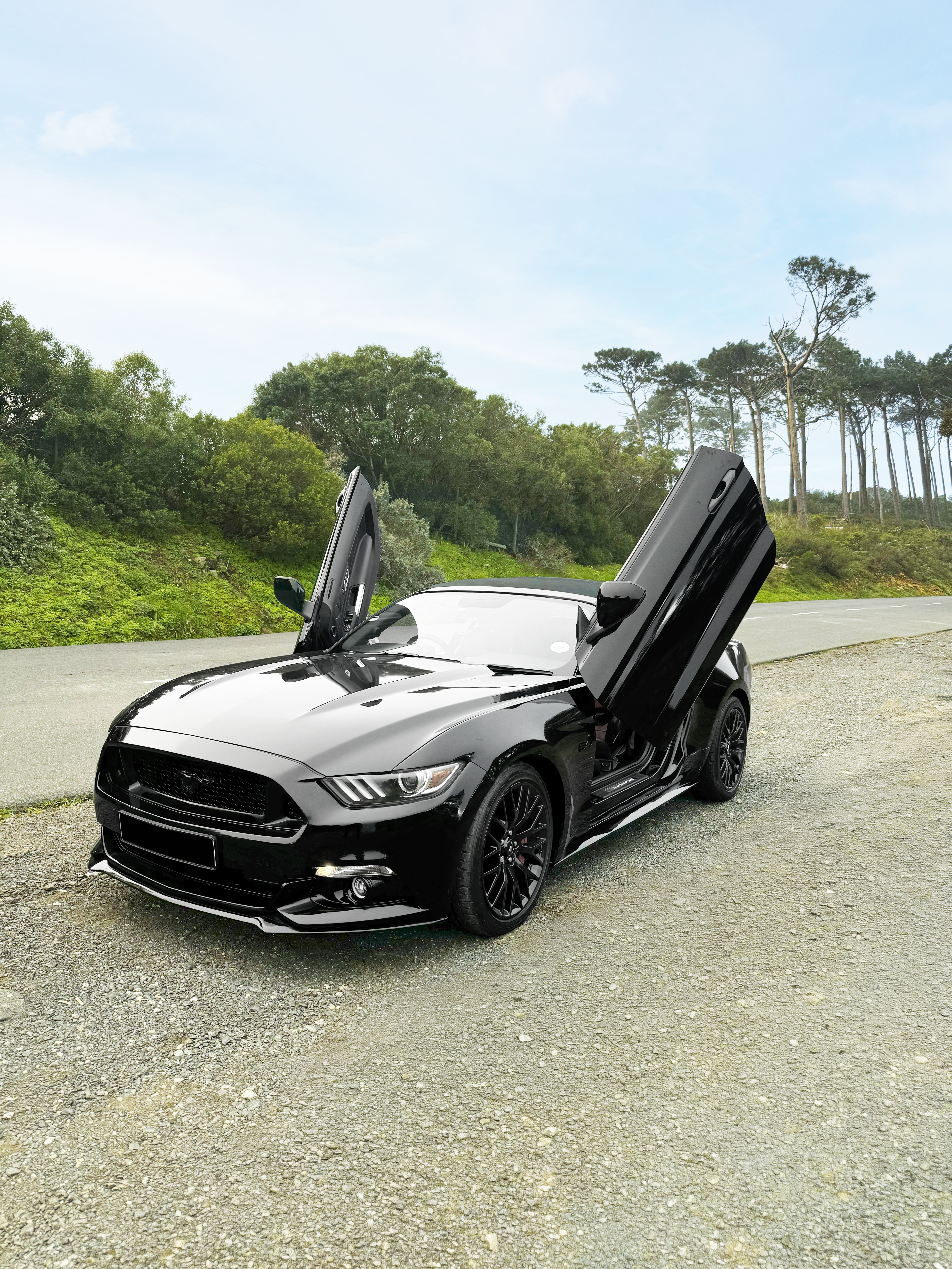 Sports Cars